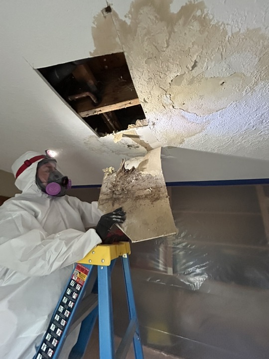 Structural drying equipment in Paradise