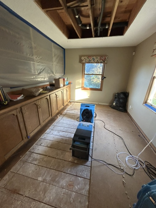 Professional water extraction in Paradise