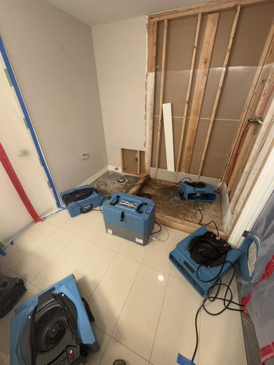 Palermo restoration work 2